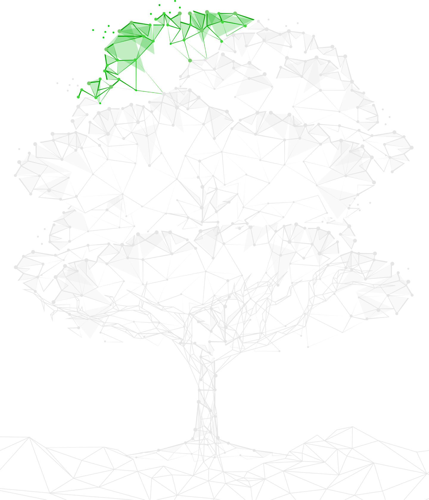 Tree.2cdddf038f662ce11eec32f75494a3fe